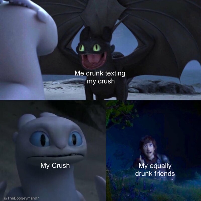 Toothless dragon and Light Fury memes