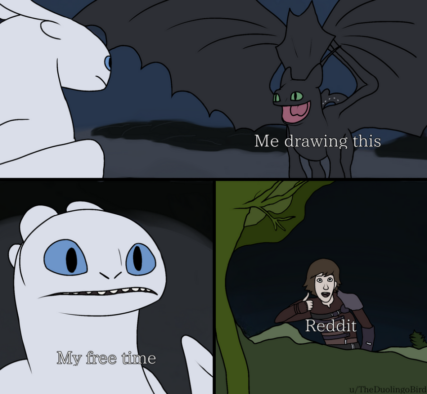 Toothless dragon and Light Fury memes
