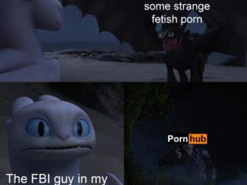 Toothless dragon and Light Fury memes