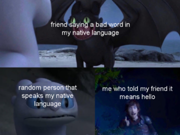 Toothless dragon and Light Fury memes