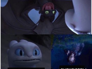Toothless dragon and Light Fury memes