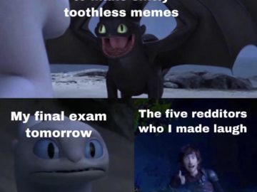 Toothless dragon and Light Fury memes