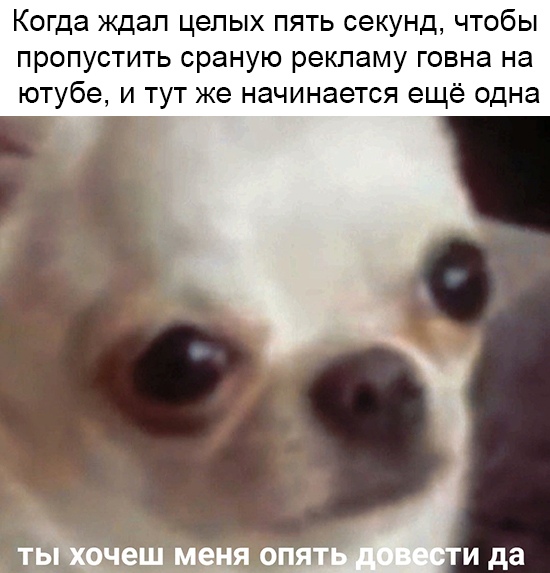 ты хочешь меня опять довести да?