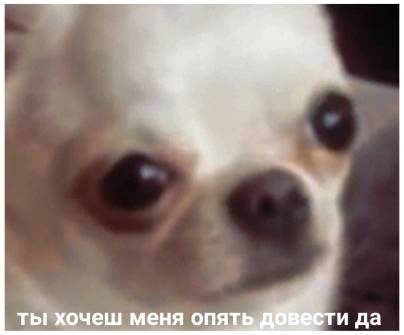 ты хочешь меня опять довести да?