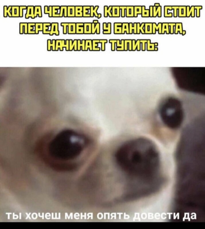 ты хочешь меня опять довести да?