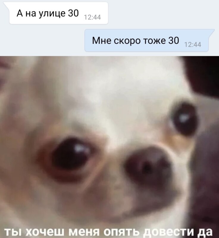 ты хочешь меня опять довести да?