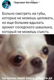 ты хочешь меня опять довести да?
