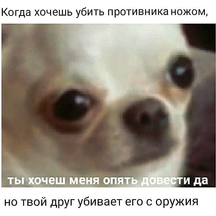 ты хочешь меня опять довести да?