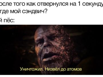Уничтожил, низвел до атомов мемы с Таносом