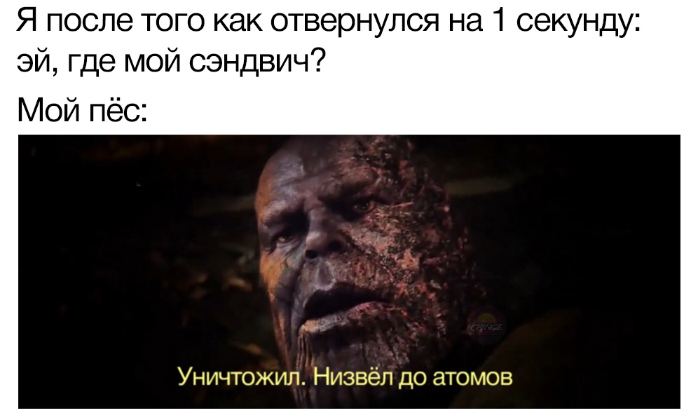 Уничтожил, низвел до атомов мемы с Таносом