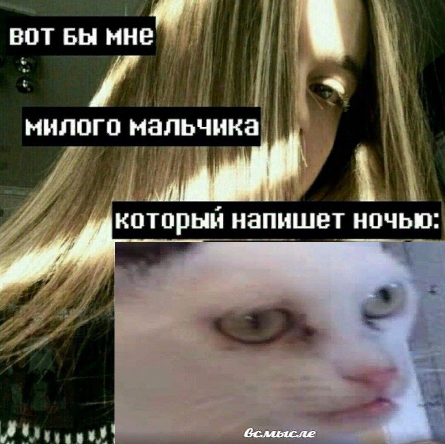 Вот бы мне милого мальчика, который напишет ночью Вот бы мне милого мальчика, который напишет ночью