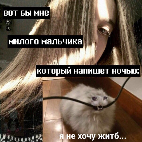 Вот бы мне милого мальчика, который напишет ночью Вот бы мне милого мальчика, который напишет ночью