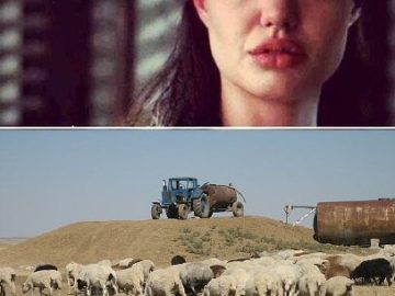 Анджелина Джоли плачет