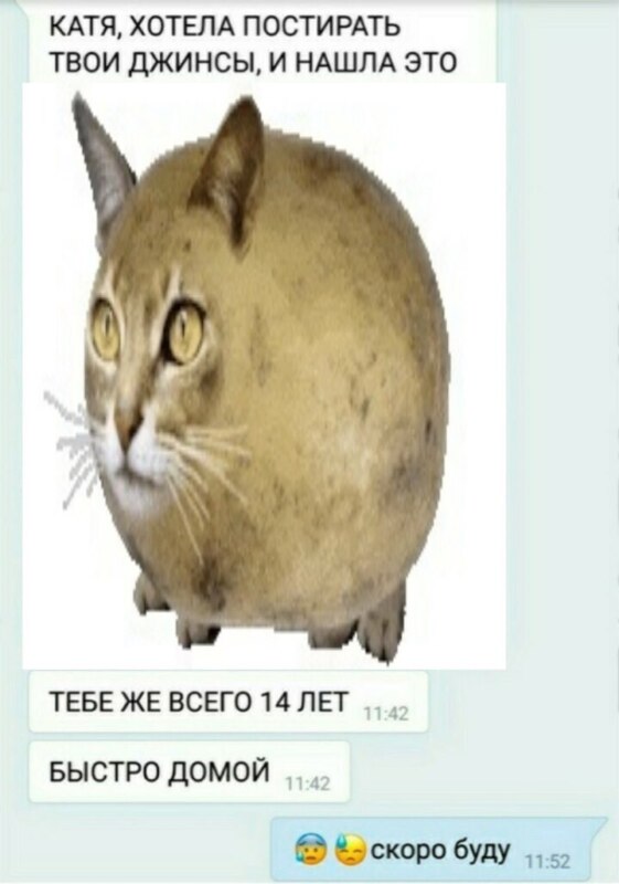 Чилипиздрик