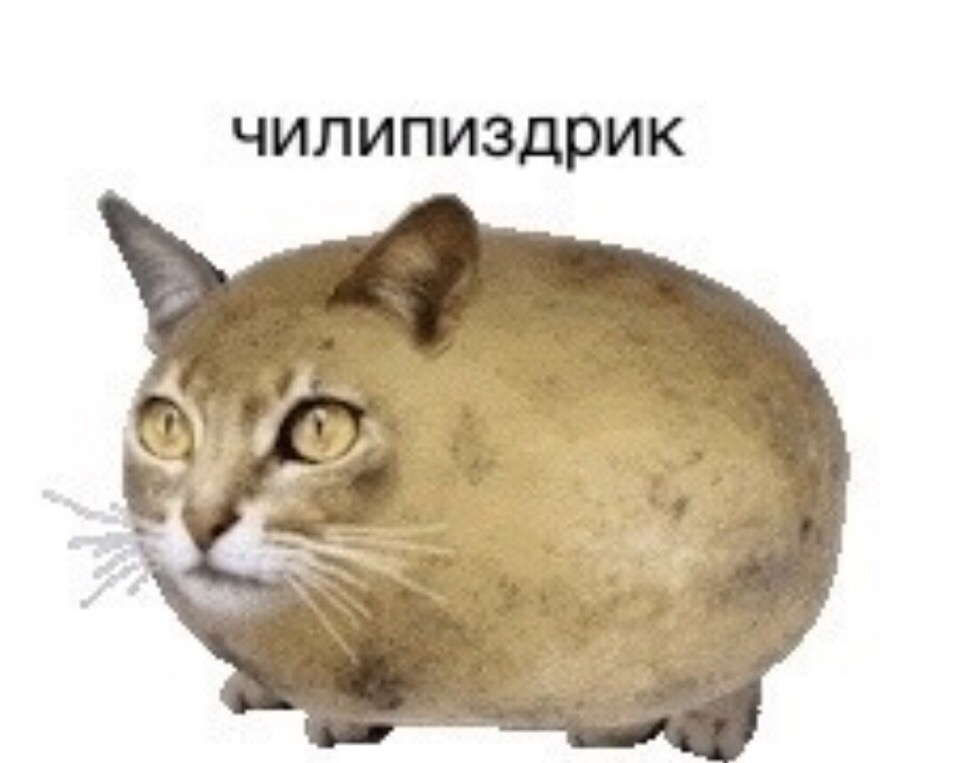Чилипиздрик Чилипиздрик