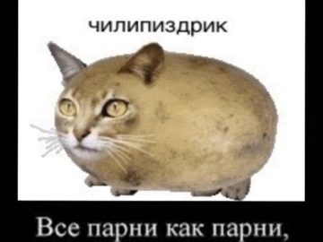 Чилипиздрик