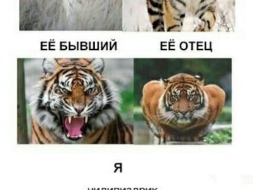 Чилипиздрик