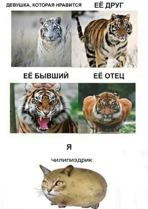Чилипиздрик