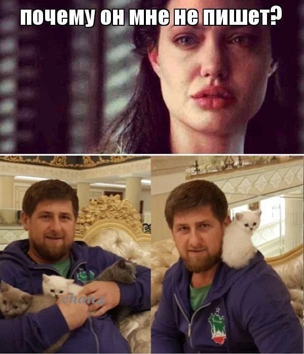 Анджелина Джоли плачет