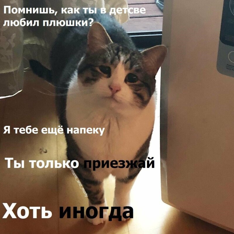 Ты только приезжай хоть иногда Ты только приезжай хоть иногда