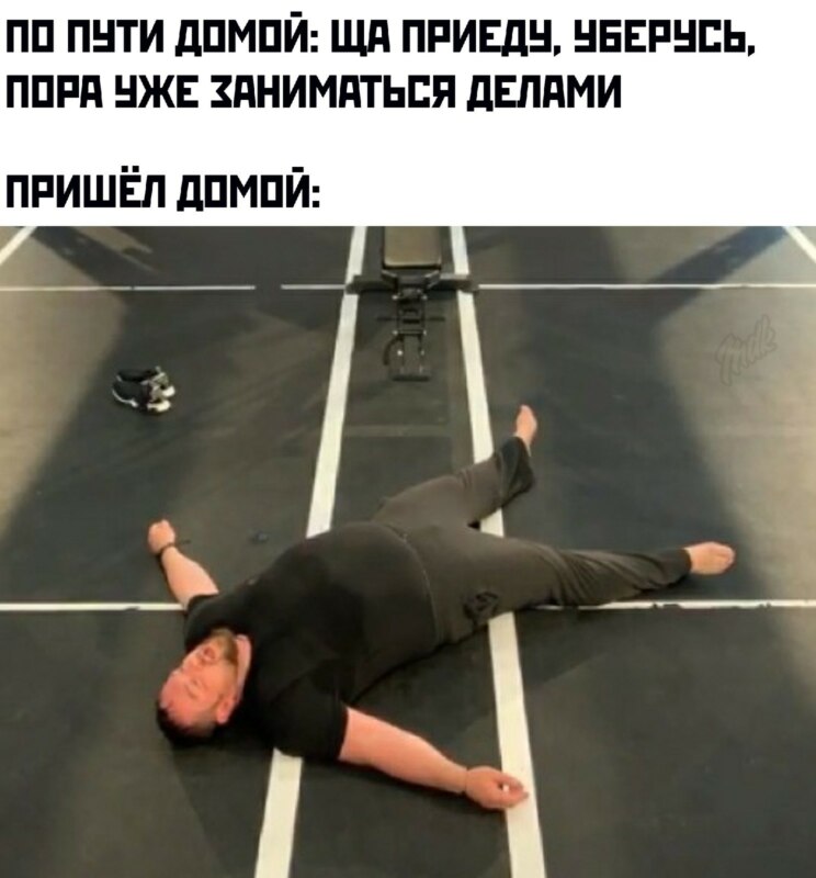Мемы про Давидыча, лежащего на полу после 1200 приседаний