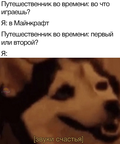 Мем про путешественника во времени