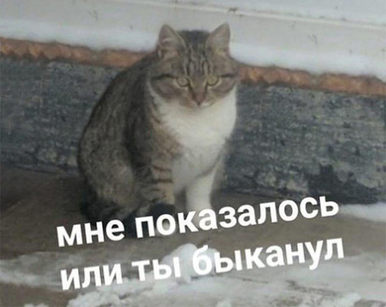 Мне показалось или ты быканул Мне показалось или ты быканул