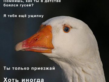 Ты только приезжай хоть иногда