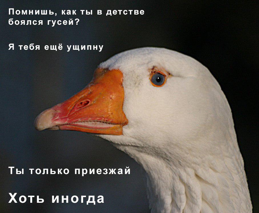 Ты только приезжай хоть иногда