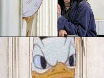 Стояк дональда дака