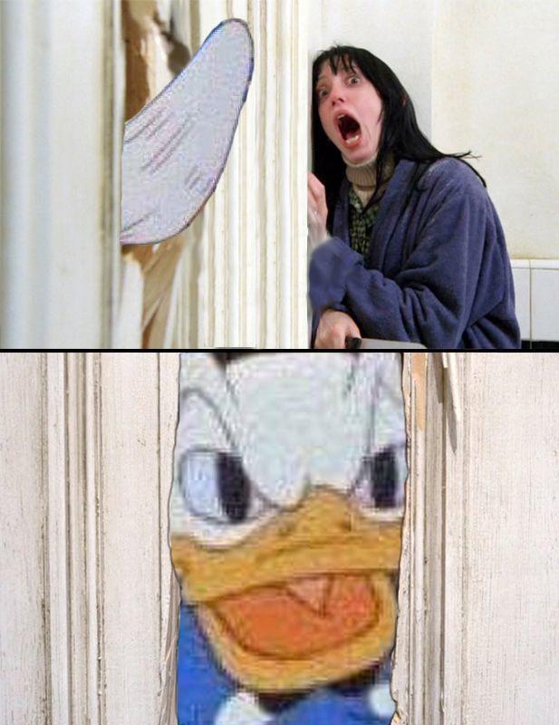 Стояк дональда дака
