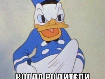Стояк дональда дака