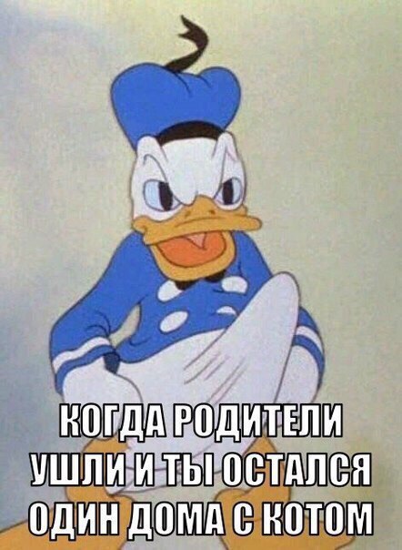 Стояк дональда дака
