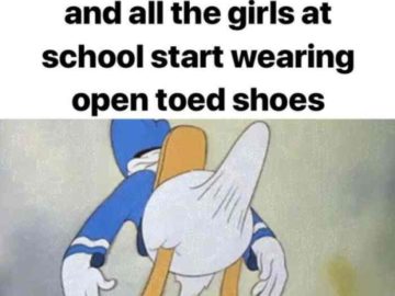 Стояк дональда дака