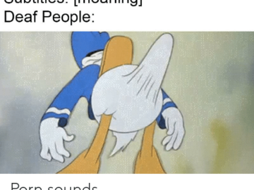 Стояк дональда дака