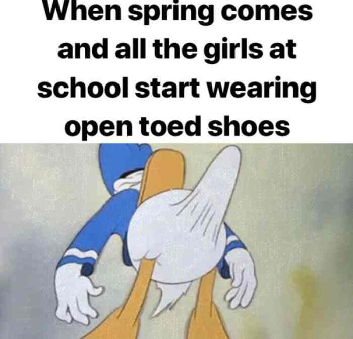 Стояк дональда дака