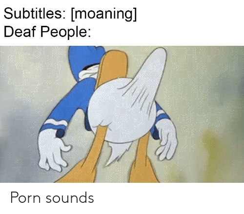 Стояк дональда дака