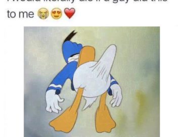 Стояк дональда дака