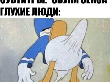 Стояк дональда дака