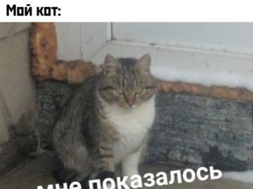 Мне показалось или ты быканул