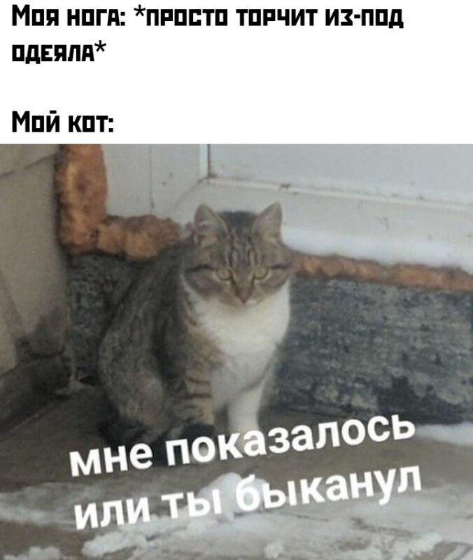 Мне показалось или ты быканул