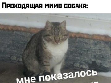 Мне показалось или ты быканул