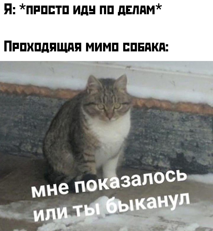 Мне показалось или ты быканул