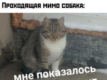 Мне показалось или ты быканул