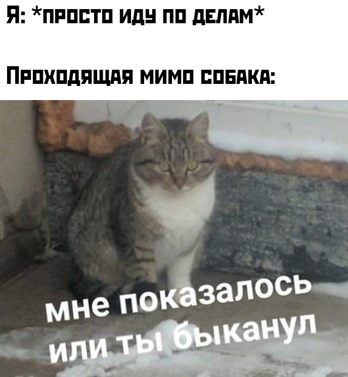 Мне показалось или ты быканул