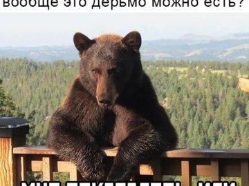Мне показалось или ты быканул