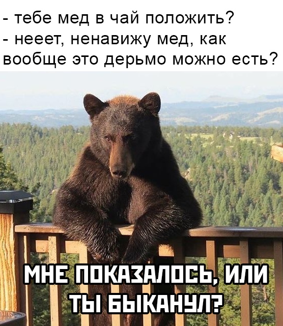 Мне показалось или ты быканул