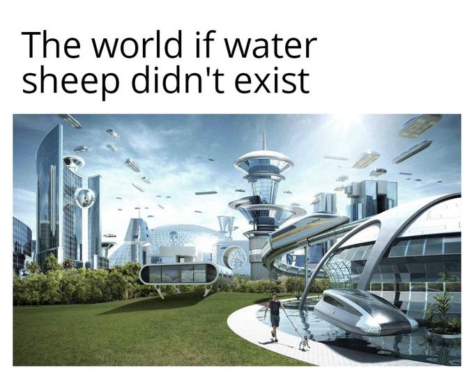 Water sheep meme Water sheep meme