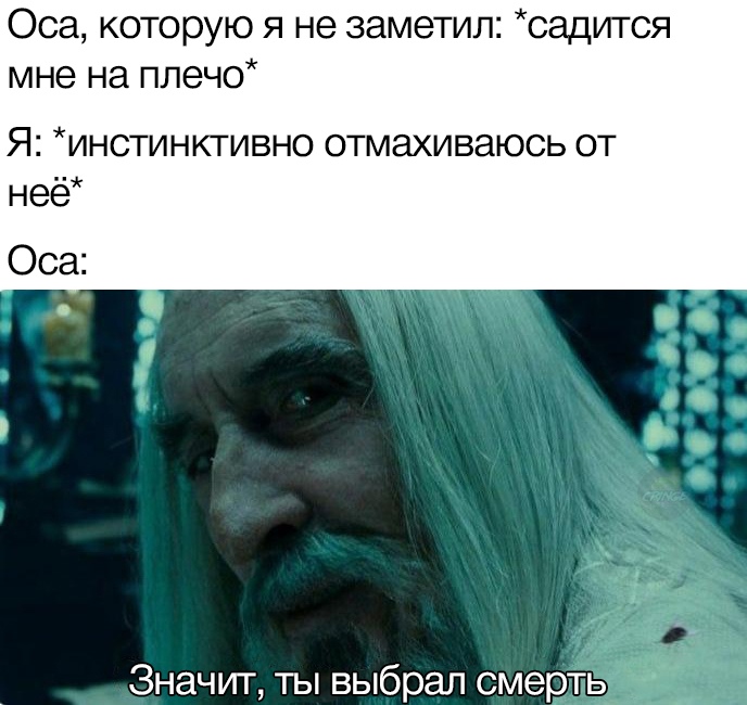 Значит, ты выбрал смерть - мем с Саруманом