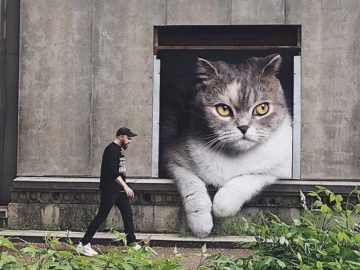 если бы кошки были гигантами
